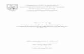 TRABAJO DE GRADO - UCABbiblioteca2.ucab.edu.ve/anexos/biblioteca/marc/texto/AAS7071.pdf · 8 Sub-escalas y su confiabilidad 56 9 Distribución del grado de intención de emigrar 59