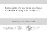 Presentación de PowerPoint - Camafu€¦ · El objetivo del proyecto CCyANP es el desarrollo conceptual y la implementación de medidas de mitigación y adaptación al cambio climático