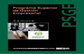 Programa Superior de Gestión Empresarial Zamora PSGEconocimientos y herramientas en el ámbito de la dirección y gestión empresarial. •Comprender las necesidades de la empresa