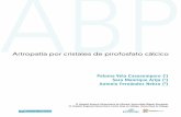 ABP - SER...ABP Artropatía por cristales de pirofosfato cálcico Paloma Vela Casasempere (1) Sara Manrique Arija (2)Antonio Fernández Nebro (2) (1) Hospital General Universitario