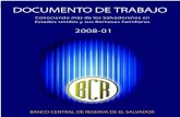 Documento de Trabajo€¦ · Documento de Trabajo No. 2008 - 01 Primer Semestre de 2008. 2008 Departamento de Investigación Económica y Financiera Banco Central de Reserva de El