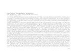 Erribera, bestelako gizartea. La Ribera, una sociedad diversahedatuz.euskomedia.org/8280/1/03450350.pdf · Erribera, bestelako gizartea. La Ribera, una sociedad diversa MARIO GAVIRIA