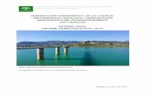 DEMARCACIÓN HIDROGRÁFICA DE LAS CUENCAS · PDF file por las estaciones automáticas delSAIH Hidrosur de la Demarcación Hidrográfica de las Cuencas Mediterráneas Andaluzas y Demarcación