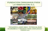 FUNDACION CHIHUAHUA PARA LA INNOVACION A.C.P. C., 2010... · 2019-05-13 · EL PROCESO DE INNOVACION TECNOLOGICA EN EL CAMPO CHIHUAHUENSE ES MUY LENTO ... •CLUSTER TURISMO RURAL.