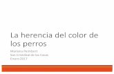La#herencia#del#color#de# los#perros - ConCiencias por la ... · Presentación101 Author: Mariana Peimbert Created Date: 1/30/2017 2:24:52 AM ...