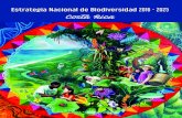 Estrategia Nacional de Biodiversidad 2016 - 2025biocorredores.org/corredoresbiologicos/sites/...Kifah Sasa Oficial de Programa PNUD Pascal Girot Asesor MINAE y Coordinador Proyecto