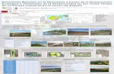 Presentación de PowerPoint - VSF · 2019-04-08 · Sauceda arbustiva con orla de espinosas, sauceda arbórea, alameda y encinas en el exterior en La Sagra Figura 7. Coscojar con
