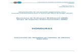 Mecanismo de Evaluación Multilateral (MEM) Grupo de Expertos … - ESP.pdf · 2011-02-23 · de Honduras (UNAH); y la Escuela de Auxiliares de Enfermería, que pertenece a la Secretaría