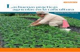 as buenas prácticas agrícolas en la caficulturainfocafes.com/portal/wp-content/uploads/2015/09/buenasPracticasC… · y las prácticas de conservación del suelo, entre otras (FAO,