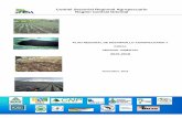 Comité Sectorial Regional Agropecuario Región Central Oriental · 2019-04-04 · CSRA Central Oriental Plan Regional de Desarrollo Agropecuario y Rural 2015-2018 6 Cuenca del río