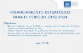 FINANCIAMIENTO ESTRATÉGICO PARA EL PERÍODO ......Estrategia de Financiamiento de Mediano Plazo: Programa de refinanciamiento 2019-2024 Monto: $2,457.7 Millones Perfil Estructura