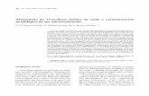 Aislamiento de Verticillium dahliae de suelo y ......Bol. San. Veg. Plagas, 29: 613-626, 2003 Aislamiento de Verticillium dahliae de suelo y caracterización morfológica de sus microesclerocios