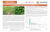 El cultivo de la papaya (Carica papaya L.) y sus …bibliotecadigital.agronet.gov.co/bitstream/11438/8279/1/...las barreras vivas con estas especies, en el manejo de la enfermedad,