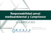 Responsabilidad penal medioambiental y …...2018/01/12  · responsabilidad penal que se trasladará a la entidad transformada, fusionada, absorbente o escindida. La disolución encubierta