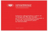 Informe diagnóstico sobre el Trabajo de fin de Grado en la ... · El Trabajo de fin de Grado (TFG) en la Universidad de Granada (UGR) se rige por la Normativa para la creación,