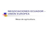 NEGOCIACIONES ECUADOR – UNIÓN EUROPEA · 2015-09-09 · ECUADOR UNION EUROPEA. SENSIBILIDADES ECUADOR % DE FAMILIAS INVOLUCRADAS (0 a 20 Ha.) UPA´S PEQUEÑAS 1 Leche 15.90% 22%