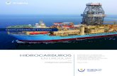 HIDROCARBUROS - ANCAP · 1 Se entiende por hidrocarburos al petróleo, gas natural y los gases licuados. 2 Fuente: Balance Energético Nacional, Dirección Nacional de Energía, MIEM.