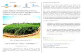 CURSO TÉCNICO “TRATAMIENTO DE AGUAS RESIDUALES EN … · El tratamiento de los vertidos de aguas residuales que se generan en las aglomeraciones urbanas de pequeño tamaño, presentan