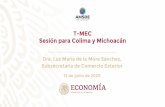 T-MEC Sesión para Colima y Michoacán€¦ · Sesión para Colima y Michoacán Dra. Luz María de la Mora Sánchez, Subsecretaria de Comercio Exterior 15 de junio de 2020. I. Del