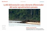 EarthwormFoundation La NO …...No deforestación No desarrollo en turberas No explotación Reducción progresiva de los gases de efecto invernadero ... Deforestación en la Amazonía.