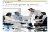 La solución de gestión de negocios para las pequeñas y ...ebsolutions.ws/sap/docs/SAP Business One Brochure.pdf · Inteligencia integral de negocios 22 ... nuestros productos y