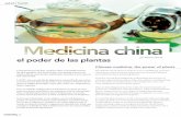 el poder de las plantas - soliscarini.comsoliscarini.com/wp-content/uploads/2013/01/Articulo-Publicado-en-l… · Chinese medicine, the power of plants La búsqueda esencial de la