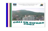Municipio ALCALDIA SANTIAGO DE CALI Departamento ... · 1.1.3.3 Centros de Administración Local Integrada. 2002 8 1.2 POBLACION 9 1.2.1 Proyecciones de población y densidad. 1995-2001