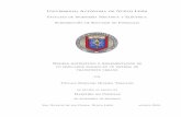 Universidad Autonoma de Nuevo Le´ ´oneprints.uanl.mx/15940/1/1080291092.pdf · 2019-06-15 · Herna´ndez Landa por sus valiosos comentarios, correcciones y contribuciones a este