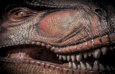 1st Page · 2019-05-02 · Serpientes marinas ..... 50-51 Dinosaurios de América ... lagartos, serpientes y pterosaurios fueron animales que aparecieron por primera vez en el período