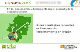 Líneas estratégicas regionales en Bioeconomía ... 2016...Posicionamiento en Aragón ST-13. Bioeconomía . La herramienta para el desarrollo de la economía circular “Conjunto