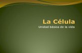 La Célula...Title La Célula Author Privado Created Date 3/16/2011 11:10:15 PM