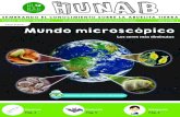 Hunab Proyecto de Vida – Hunab Proyecto de Vida - Precio: $9 …hunab.info/wp-content/uploads/2020/05/Mayo-web-2020.pdf · 2020-05-04 · Scotiabank es un aliado social de la abuelita