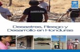 Desastres, Riesgo y Desarrollo en Hondurascopeco.gob.hn/documents/Construccion-de-riesgos-en-HN.pdf · desastres naturales dentro de la región centroamericana. Los datos de pérdidas