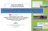 RESUMEN EJECUTIVO SISMICA - RESUMEN... · 2013-09-05 · RESUMEN EJECUTIVO 0009 Estudio de Impacto Ambiental Semi Detallado del Proyecto de Ampliación de Líneas en la Prospección