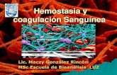 Hemostasia y coagulación Sanguíneasdb8790fb3b904fba.jimcontent.com/download/version...•Adhesión y agregación de plaquetas •Formación del tapón plaquetario 3-5 minutos COAGULACION