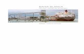 Provincia de Buenos Aires - Bahía Blanca · industrial en el extremo norte de la provincia, con puerto fluvial sobre el Paraná. Tandil (101.010 hab.), centro agrícola-ganadero