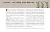 Cultivo de maíz en Chiapas - ceccam.orgceccam.org/./sites/default/files/Cultivo de maíz en Chiapas a.pdf2.4%. Por su parte, el programa Procampo capitaliza —opción de capitalización