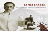 Carlos Chagas, - Museu da Vida · 2018-06-12 · En 1907, Chagas actuó en Xerém (estado de Río de Janeiro), con los obreros de la Inspección General de Obras Públicas, que realizaban