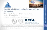 Gestión de Riesgo en los Modelos Fintech en México · •Riesgo de mercado, que se define como la pérdida potencial por cambios en los Factores de Riesgo que inciden sobre la valuación