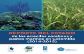 RepoRte del estado - EPA Cartagenaobservatorio.epacartagena.gov.co/wp-content/... · 2 | REPORTE DEL ESTADO de los arrecifes coralinos y pastos marinos en Colombia Sade principal: