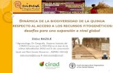 DINÁMICA DE LA BIODIVERSIDAD DE LA QUINUA RESPECTO AL ... Magistral_Jujuy.pdf · La quinua fue domesticada por primera vez en los países andinos en los alrededores del Lago Titicaca.