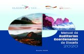 da Olacefs 2020 · Organização Latino-americana e do Caribe de Entidades Fiscalizadoras Superiores. Manual de auditorias coordenadas da Olacefs / Organização Latino-americana