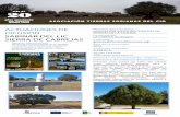 SIERRA DE CABREJAS · dentro de las líneas ayuda de la Medida 19 LEADER del programa de desarrollo rural de Castilla y León (2014-2020) gestionado por la Asociación Tierras Sorianas