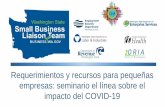 Requerimientos y recursos para pequeñas empresas ......2020/07/30  · Seminario en línea Agenda • Bienvenida e introducción • Comisión de Asuntos Hispanos • Oficina del