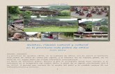 Guizhou, riqueza natural y cultural en la provincia …barcelonaxiamen88.com/files/Guizhou.pdfde un día o dos, por su infraestructura hotelera y de transportes. Además, su Museo