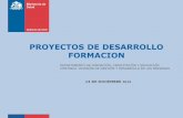 PROYECTOS DE DESARROLLO FORMACION · 2018-12-17 · • Plan Nacional Integral de Capacitación y Formación para Directivos de la Red Asistencial. • Estudio BID y Escuela Andaluza