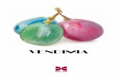 VENDIMIA · 2020-06-25 · Detergente líquido compuesto por tensioactivos y agentes complejantes. Útil en la vendimia como sustituto de la sosa, para uso frecuente en todos los