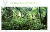 CLIMA EQUATORIAL - WordPress.com · VEGETACIÓ FAUNA. SITUACIÓ DEL CLIMA EQUATORIAL Es troben en les zones properes de l'Equador en latituds molt baixes (5ºC N i 5ºC S). TEMPERATURA