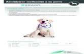 Consejos útiles - Aragó HV€¦ · Administrar medicación a su perro Consejos útiles • Lea siempre cuidadosamente las instrucciones de la etiqueta. • Pregunte a su veterinario