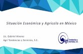 Situación Económica y Agrícola en México · en el sector automotriz, menor inversión privada, menores ventas de bienes duraderos y un menor crecimiento en el sector industrial